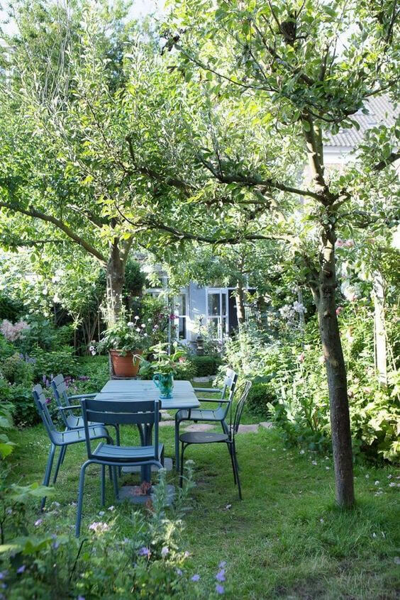 38 Stunning Ideas to Turn Your Boring Garden into a Cool Tropical Garden - 257