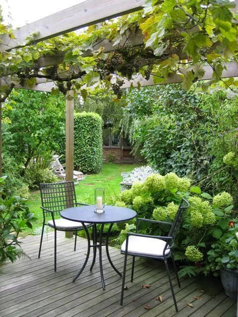 38 Stunning Ideas to Turn Your Boring Garden into a Cool Tropical Garden - 259