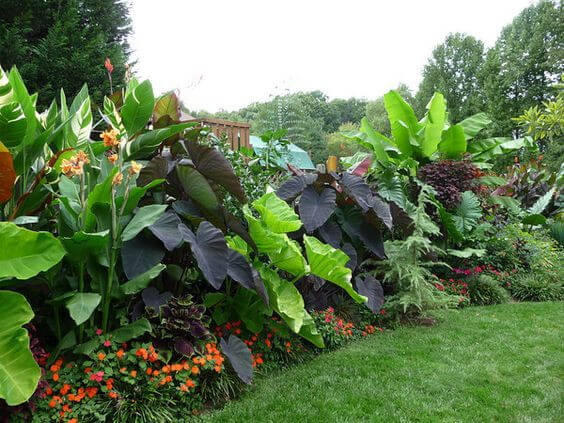 38 Stunning Ideas to Turn Your Boring Garden into a Cool Tropical Garden - 269