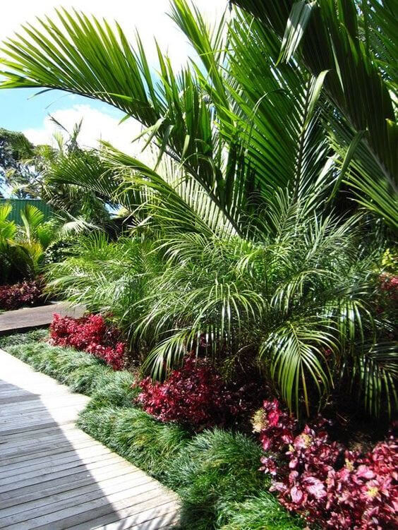 38 Stunning Ideas to Turn Your Boring Garden into a Cool Tropical Garden - 275