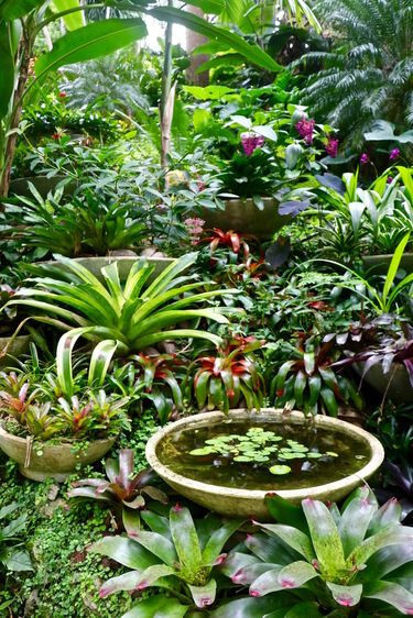 38 Stunning Ideas to Turn Your Boring Garden into a Cool Tropical Garden - 287