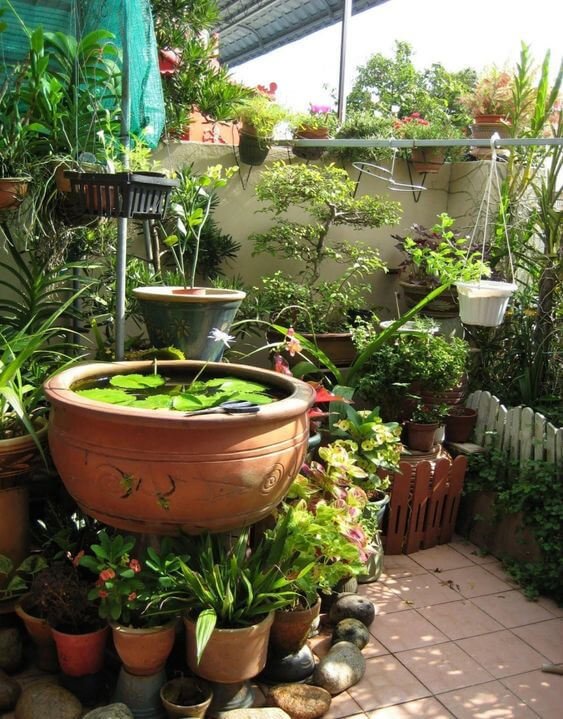 38 Stunning Ideas to Turn Your Boring Garden into a Cool Tropical Garden - 289