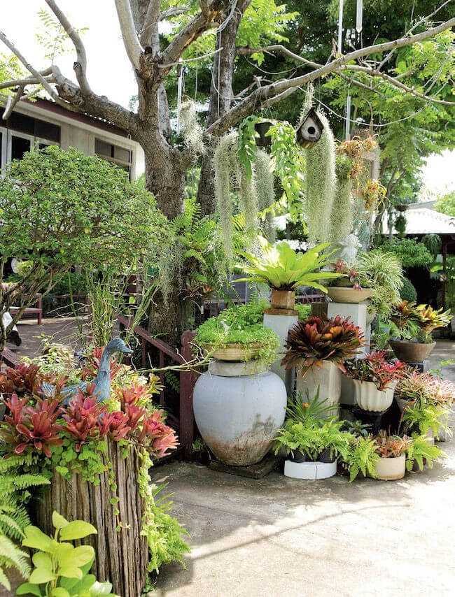 38 Stunning Ideas to Turn Your Boring Garden into a Cool Tropical Garden - 291