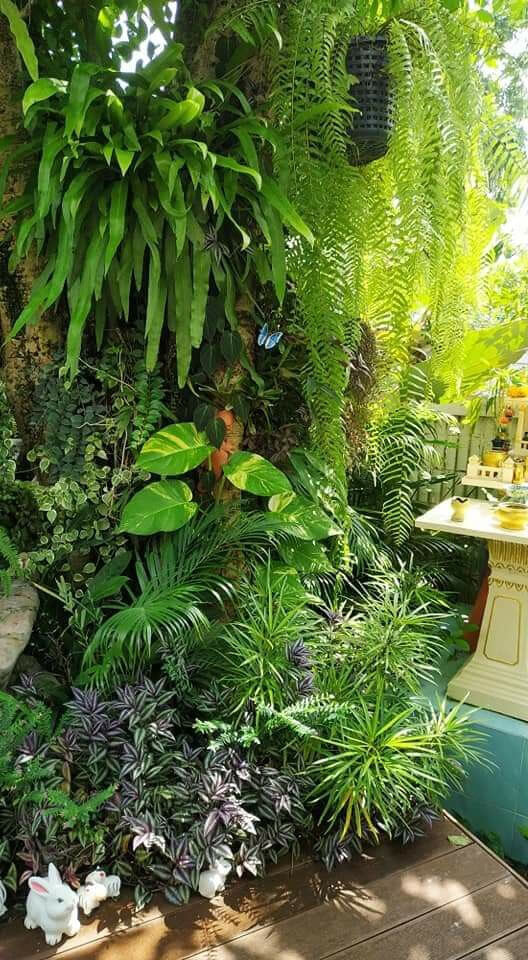 38 Stunning Ideas to Turn Your Boring Garden into a Cool Tropical Garden - 293