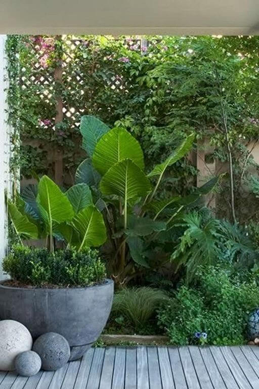 38 Stunning Ideas to Turn Your Boring Garden into a Cool Tropical Garden - 297