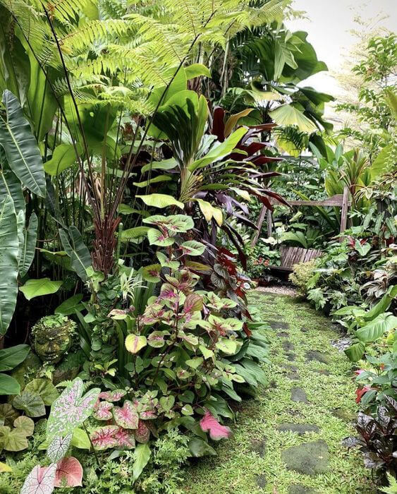 38 Stunning Ideas to Turn Your Boring Garden into a Cool Tropical Garden - 299