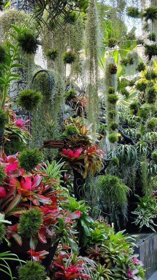 38 Stunning Ideas to Turn Your Boring Garden into a Cool Tropical Garden - 303