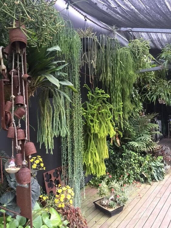 38 Stunning Ideas to Turn Your Boring Garden into a Cool Tropical Garden - 305