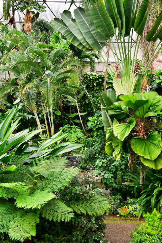 38 Stunning Ideas to Turn Your Boring Garden into a Cool Tropical Garden - 307