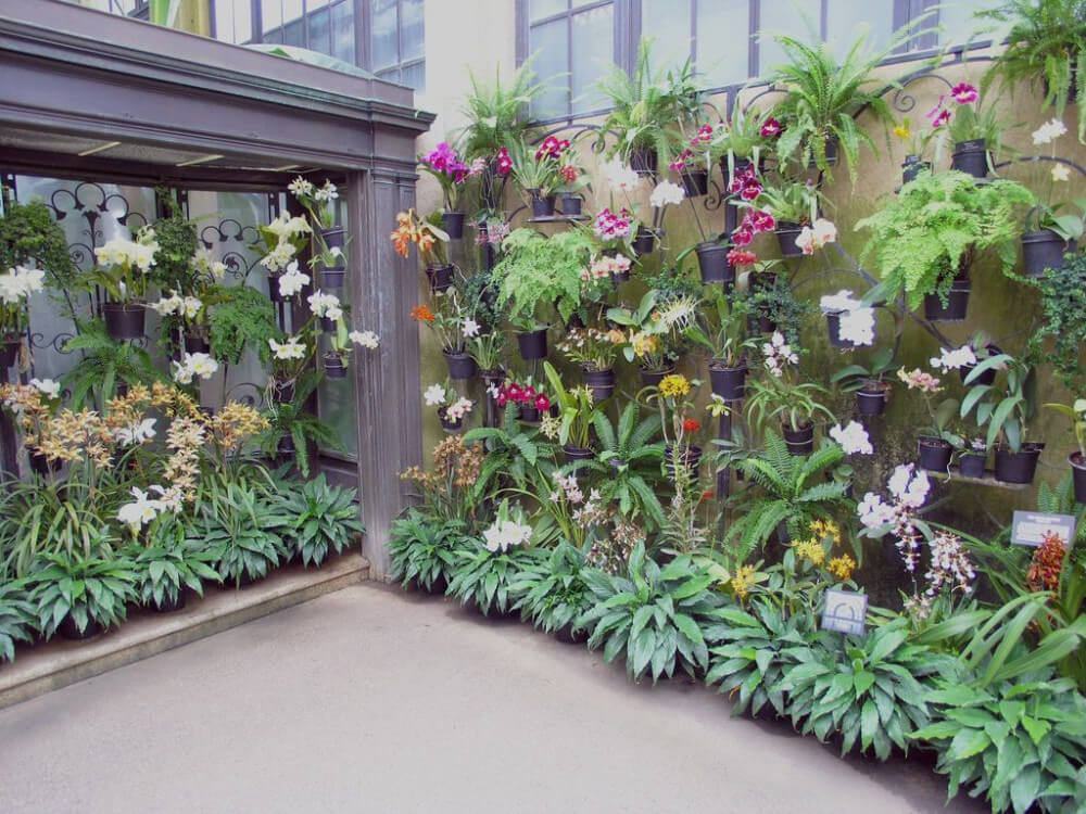 23 Gorgeous Orchid Display Ideas - 171