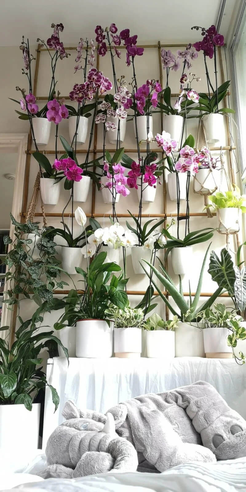 23 Gorgeous Orchid Display Ideas - 163