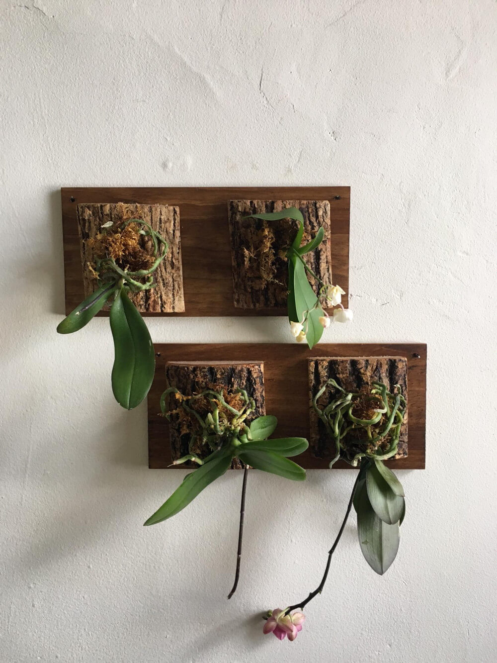 23 Gorgeous Orchid Display Ideas - 183