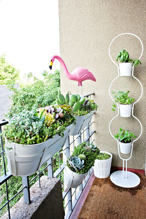 10 Best Plants And Vegetables To Grow On A Balcony - 71