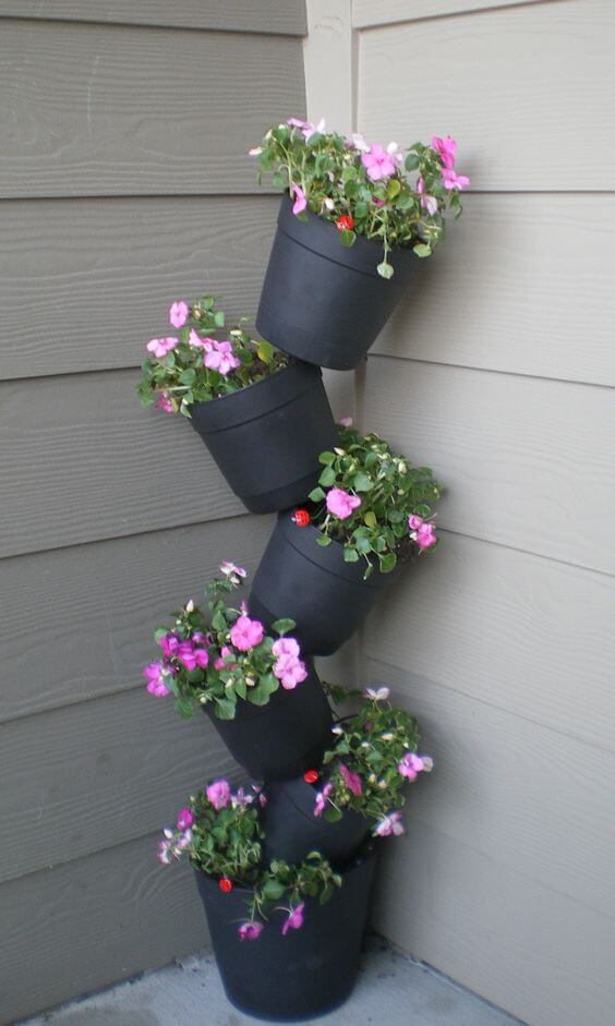 30 Great Garden Ideas With Our Favorite Petunia - 281