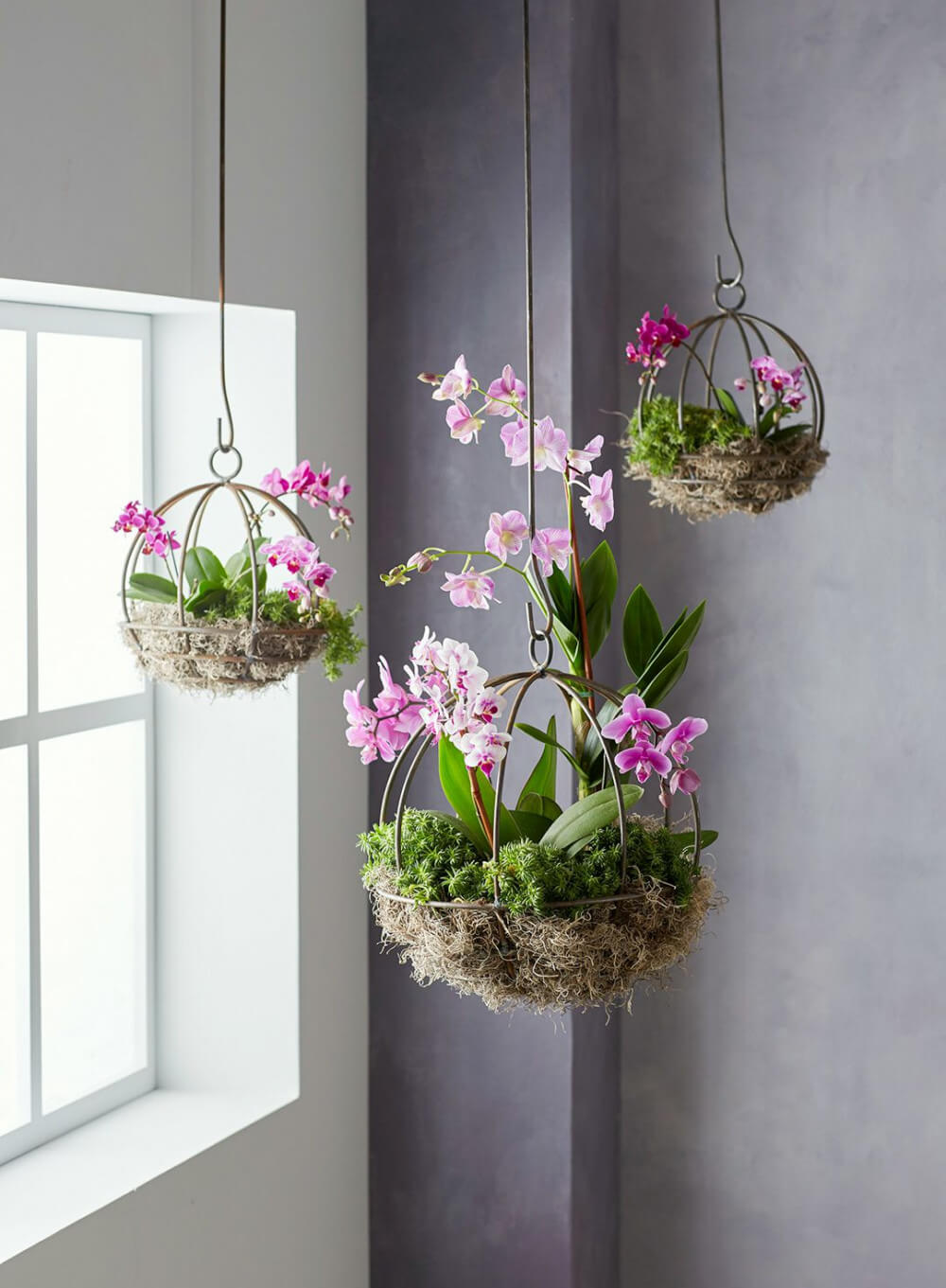 23 Gorgeous Orchid Display Ideas - 177