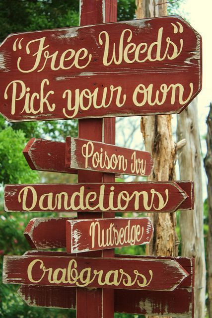 10+ Lovely Garden Sign Ideas That Add Style To Your Outdoor Sanctuary - 201