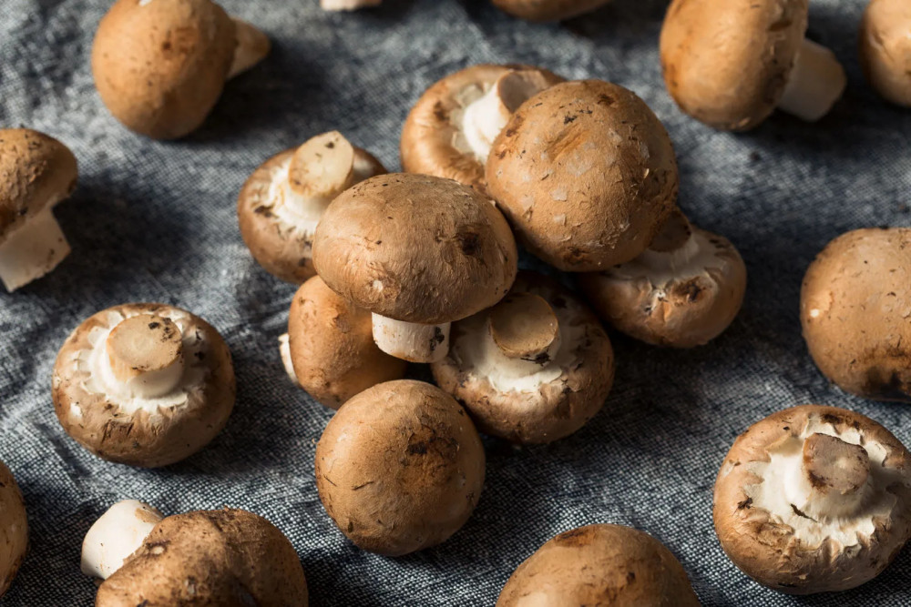 12 Delectable Edible Mushrooms For Your Indoor Garden - 83