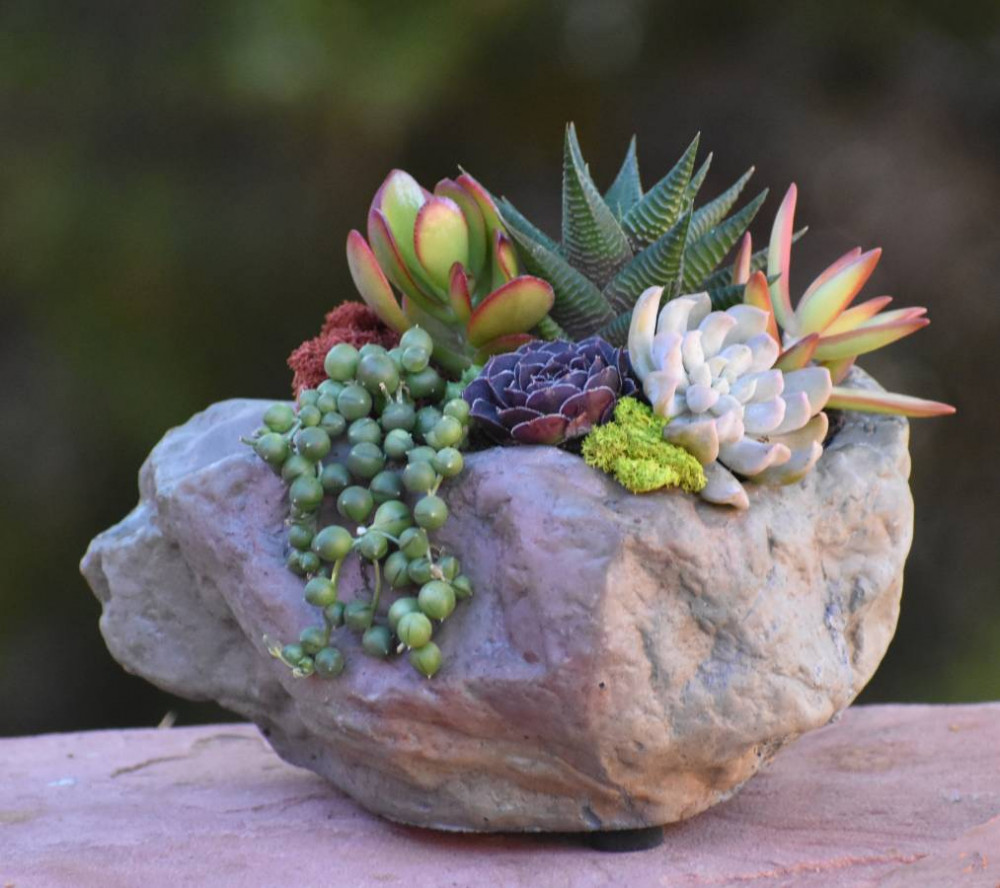 20 Astonishing DIY Cactus And Succulent Dish Gardens For Botanical ...