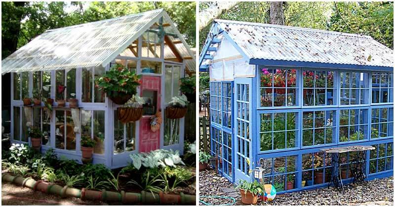 15 Diy Greenhouses Made From Old Windows And Doors