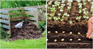 9-Gardening-Supplies-That-Are-At-No-Expense-ft
