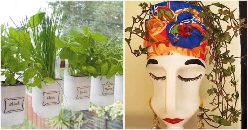 15 Best DIY Garden Projects With Plastic Milk Containers