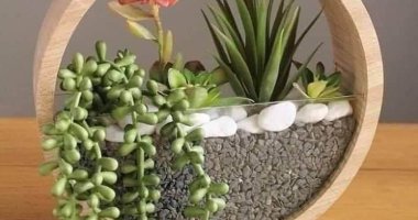 How To Make Hanging Wall Rounded Planter