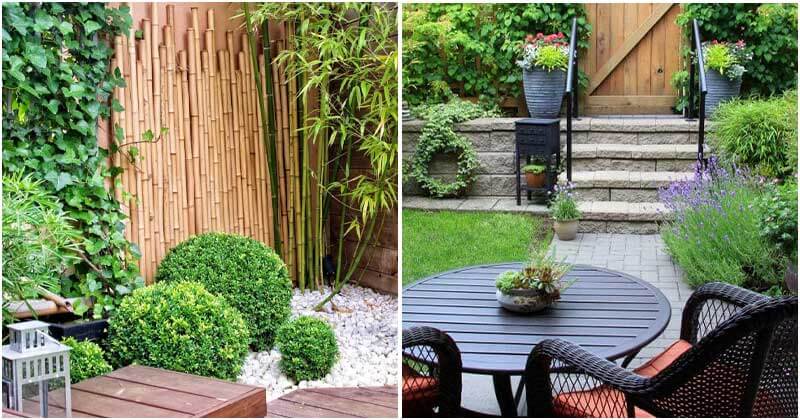 Gardening Tips To Take Advantage Of Maximum Your Small Spaces