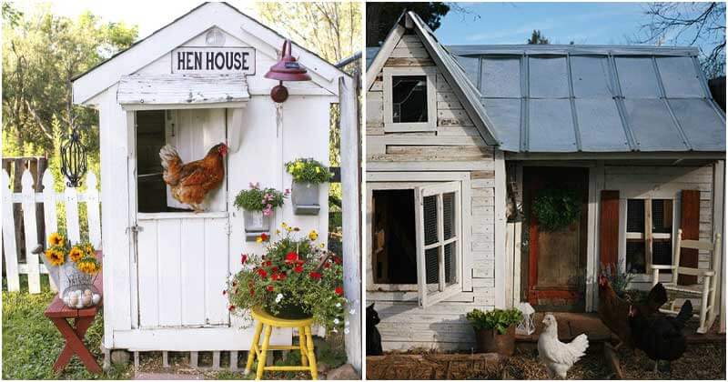 30-Easy-DIY-Chicken-Coops-To-Build-ft