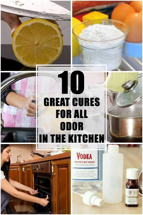 10 Great Cures For All Odor In Your Kitchen 