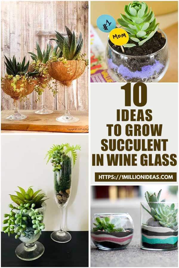 10 Ideas To Grow Succulent in Wine Glass