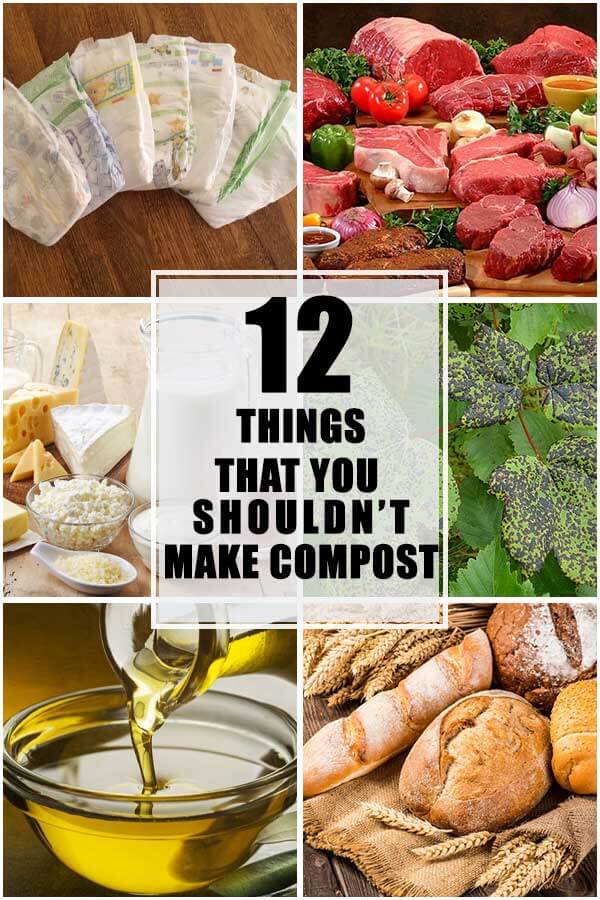 12 Things That You Shouldn't Make Compost