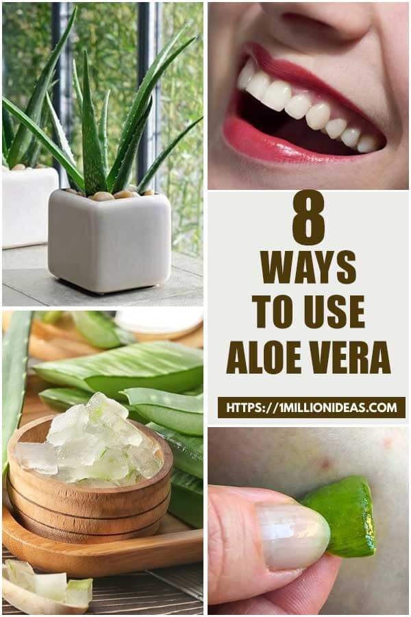 Good Ways to Use Aloe Vera