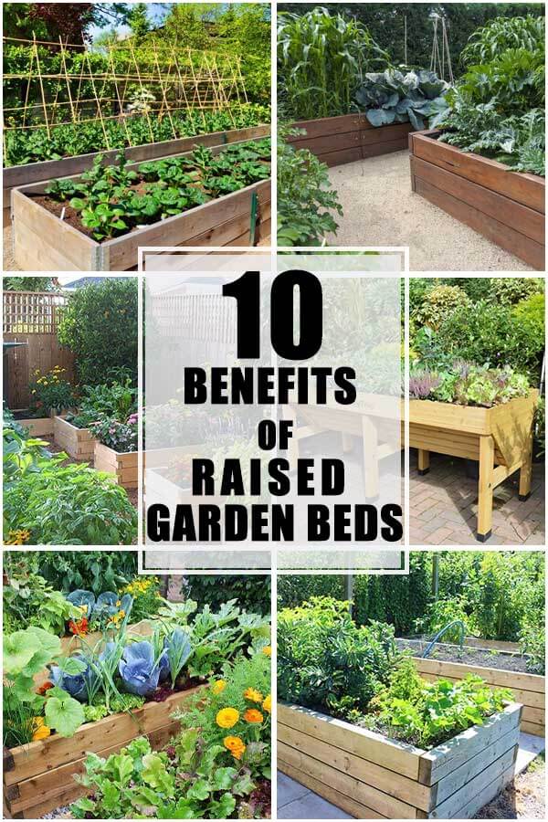 10 Benefits Of Raised Garden Beds