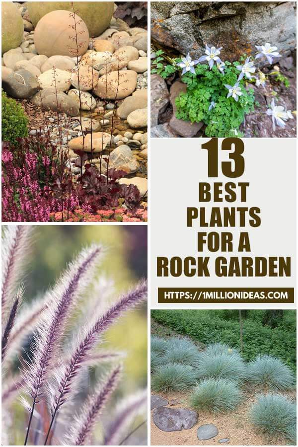 13 Best Plants For A Rock Garden