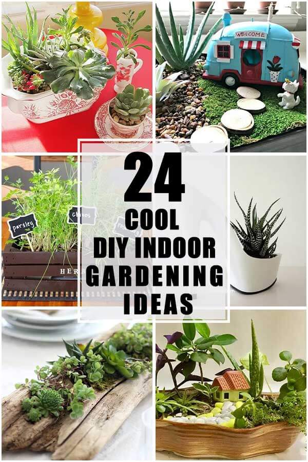 24 Cool DIY Indoor Gardening Ideas