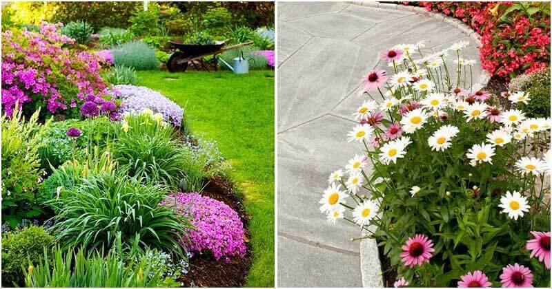 16 Pretty Garden Edging Ideas With Flowers