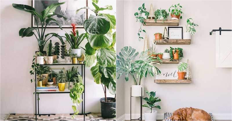 28 Beautiful Plant Shelves For Your Home - 101