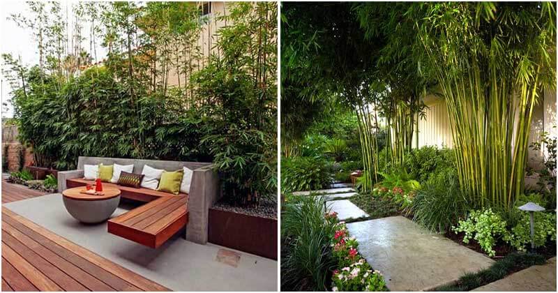 30 Bamboo Ideas For The Garden