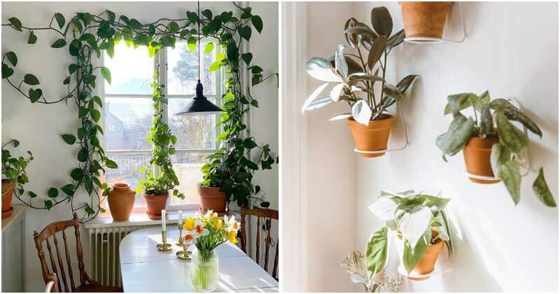 27 Best Ideas To Build A Beautiful Hanging Plant Wall - 101