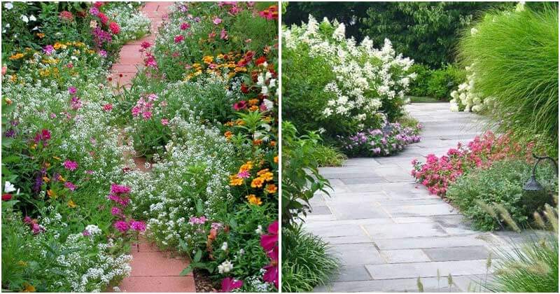 Beautiful Flower Garden Path Ideas