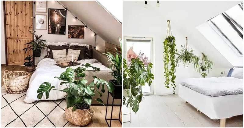 25 Appealing Low-maintenance Landscaping Ideas