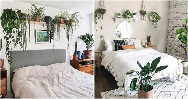 26 Adorable Indoor Plant Bedroom Ideas