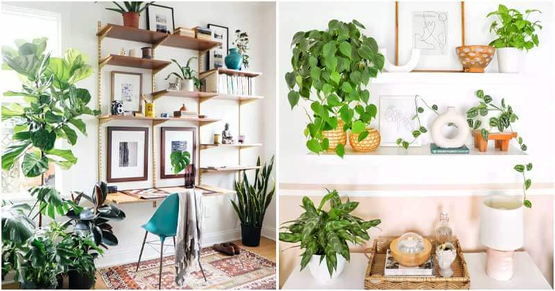 22 Perfectly Styled Plant Shelf Ideas To Decor Your Home - Page 2 of 2