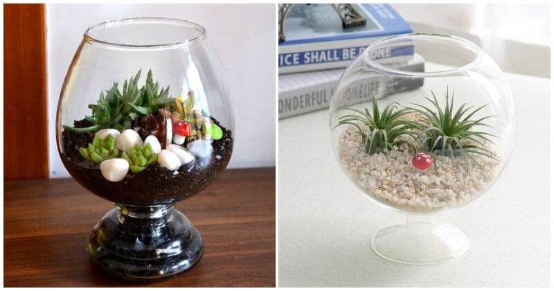Wine Glass Terrarium Ideas For Mini Indoor Gardens
