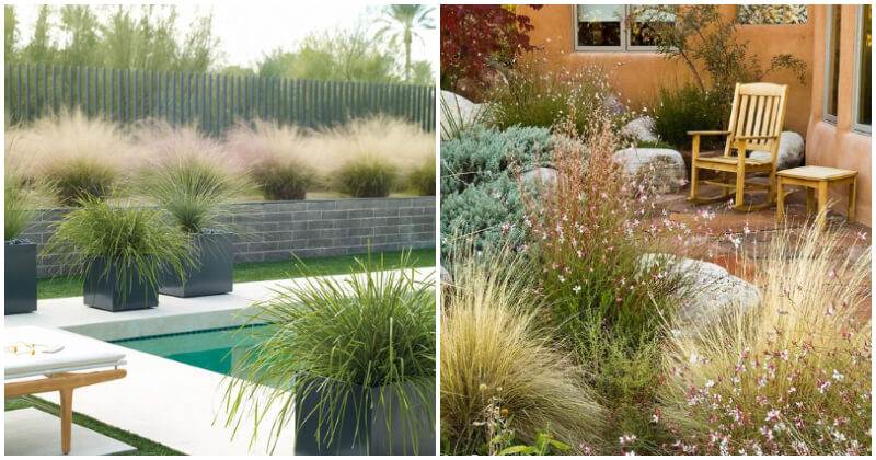 29 Shimmering Landscaping Gardens With Ornamental Grass