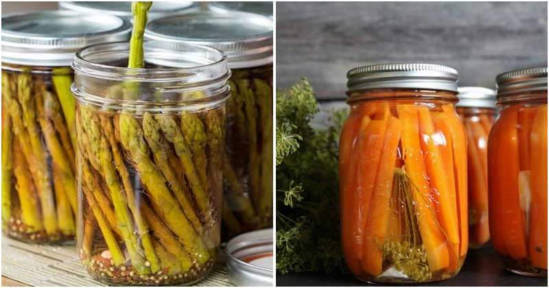 15 Plants and Trees For Homemade Pickles You Should Grow In The Garden