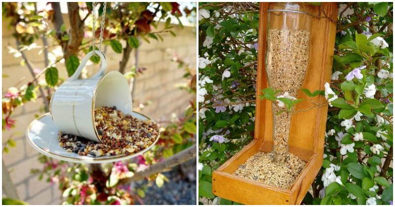 25 DIY Bird Feeder Ideas For A Lively Garden