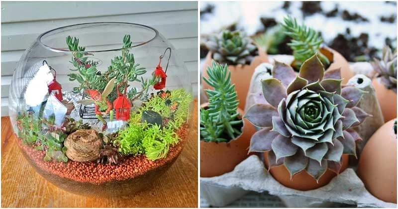 Collection of The Cutest DIY Indoor Gardening Ideas