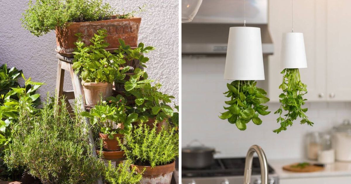 18 Beautiful Herb Garden Ideas That’ll Fill Your Home With Fresh Flavor ...