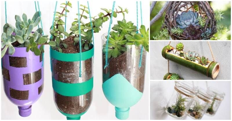 25 DIY Hanging Succulent Planter Ideas